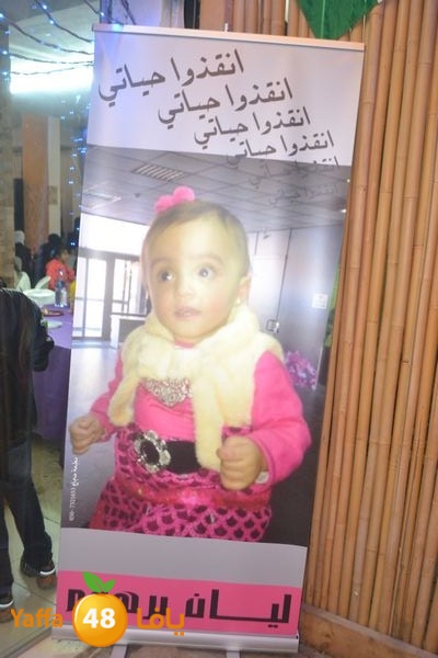 layangazalud (37).JPG